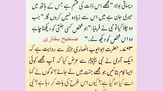 اسلامی معلومات 146