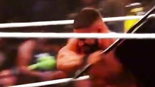 WWE реслинг 188