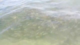 #fishing2