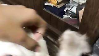 dog ????