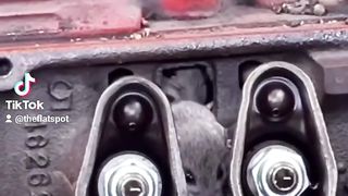 V8 Engine Infested By Mouses...