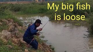 Ikan besar lepas (big fish loose)