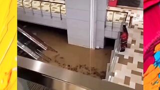 Hong Kong's major flood disaster