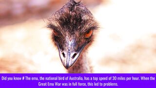 weird and unique facts you probably never knew before #12
