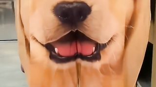 Nice short 2
