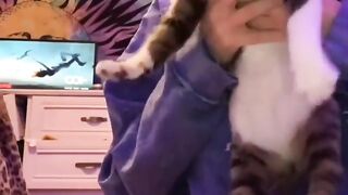 Funny | Teaching Cats the Unusual | FunFM