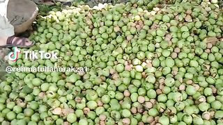 Dry fruit 2