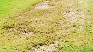funny video 2023 10