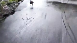 Funny | Duck Buddy | FunFM