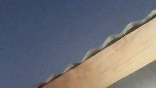 Funny | An Honest Interaction with a Giant Spider | FunFM