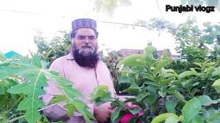 اج ہم نے چھت سے اتنا زیادہ کون سا پھل اتارا