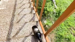 Break bottle ????