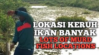 LOKASI KERUH IKAN BANYAK(LOTS OF MURD FISH LOCATIONS)
