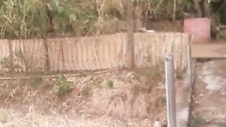 Animal lovers