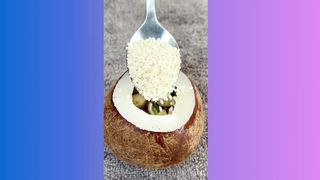 panacea for joint and bone