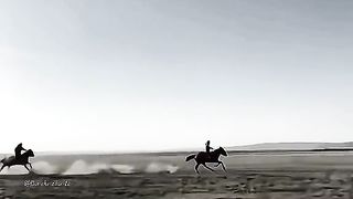 Super Fast Horse