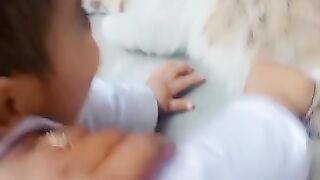 Boye cate