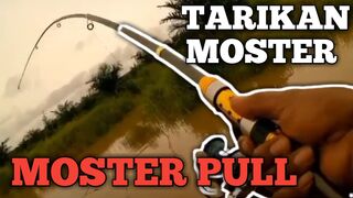 TARIKAN SANGAT LUAR BIASA (MOSTER PULL)
