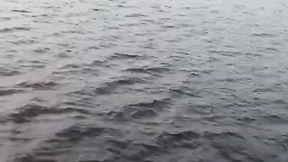 mobil masuk ke Danau Dendam kota bengkulu