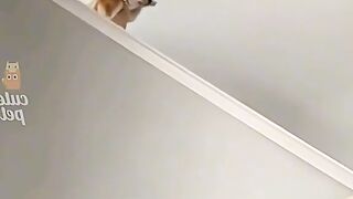 Приколи 426