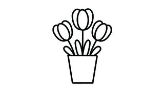draw a flower 2