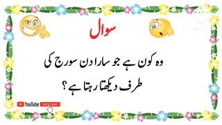 Mushkil Urdu Paheliyan || 05 Riddles with Question Answers in Urdu/Hindi ||