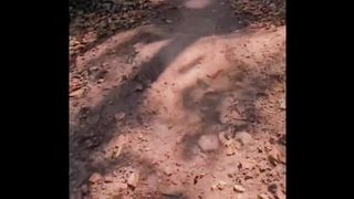 Cute animals compilation