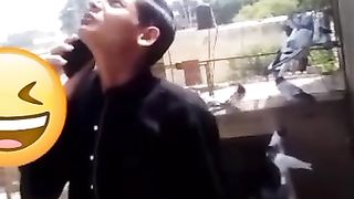 Most funny video comedy clip