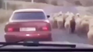 Funnyyyyyy