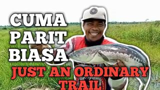 HANYA PARIT BIASA (JUST A ORDINARY DITCH)