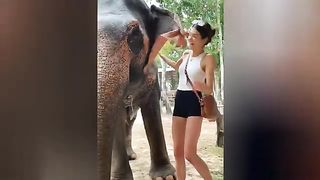 Instant Regret - Fail Compilation | Funny Fails 3