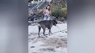 Instant Regret - Fail Compilation | Funny Fails 4