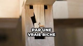 Vérité surprenante que tu ignorais | n°6
