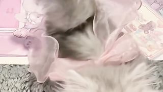 Such a cute little kitty