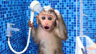 Bébé singe fait sa toilette seul comme un grand.