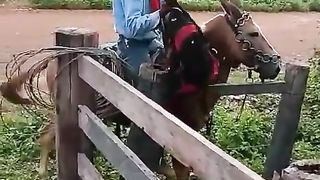 1：Funny and humorous moments.