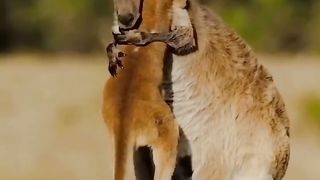 Mother's Love ????????