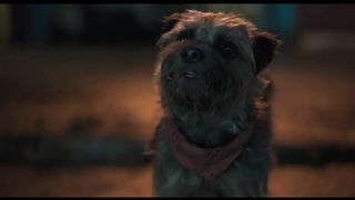Strays (2023) Movie Trailer 2 | Will Ferrell, Jamie Foxx, Will Forte