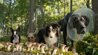 Strays (2023) Movie Trailer 1 | Will Ferrell, Jamie Foxx, Will Forte