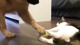 The ball is mine.. ????