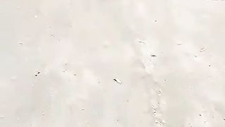 UNUSUAL FIGHT, (Freaky) Funny