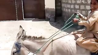 Funny video 2023 29