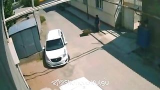 Dadam oʻldiradi endi akajon