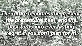 Psychological facts 13