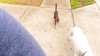 Funny | Daily Morning Walk Diaries | FunFM