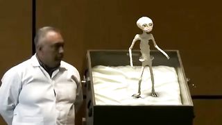 Funny | Confirming the Unbelievable | FunFM