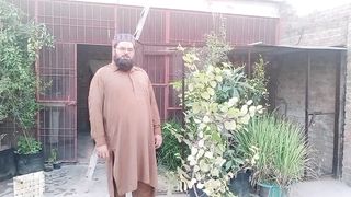 ہم نے بیری کے پودے کا کیا کیا