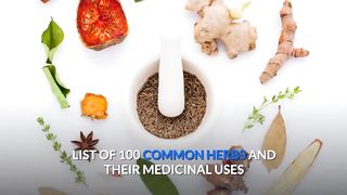 Top 100 Best Healing Medicinal Herbs, Spices And Plants Names