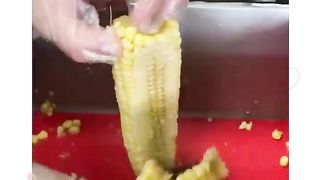 Delight Street Food Around The World