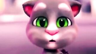 Beautiful Tom songs funny cat videos